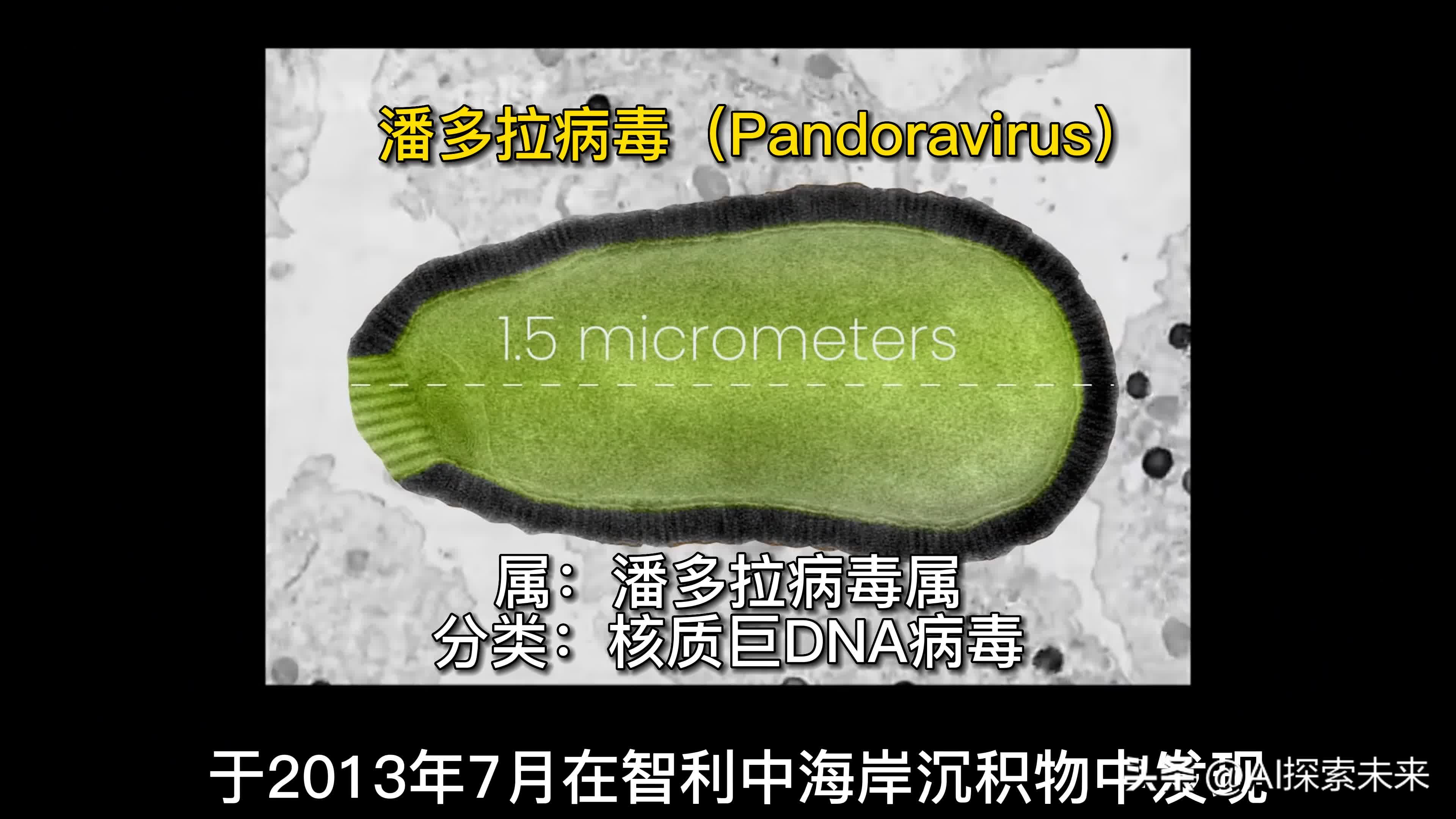 潘多拉病毒是怎么形成的,潘多拉病毒是几年前灭绝的