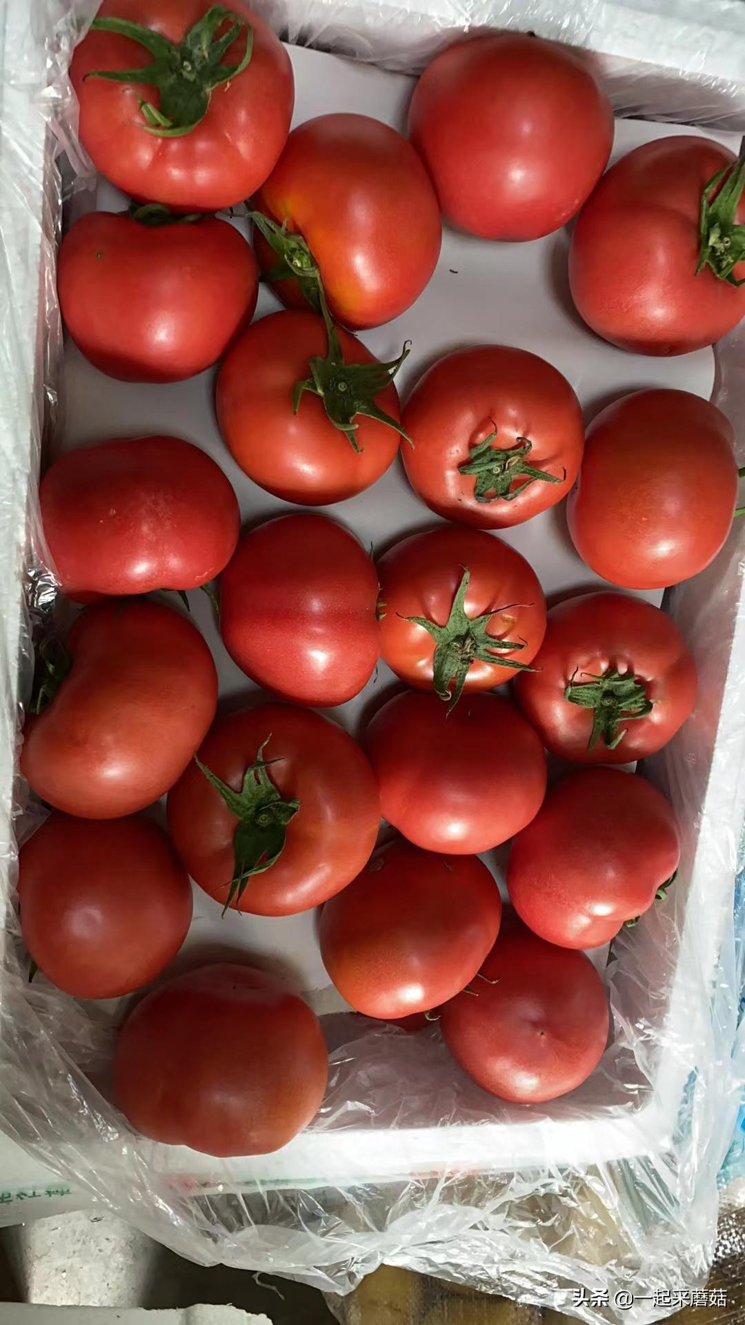 后疫情时代消费趋势下降,后疫情时代失业率