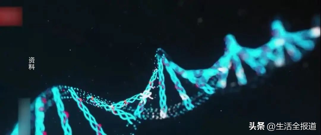 孕妇免费筛查流程,孕期免费筛查流程