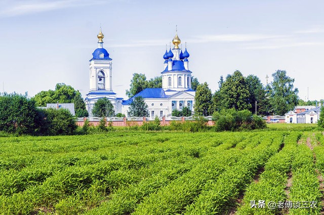 带你了解俄罗斯的农村是啥样子,俄罗斯最落后的农村是什么样子