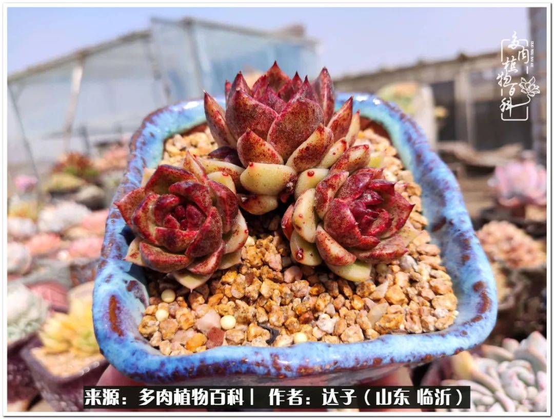 活在当下珍惜眼前平凡的生活,活在当下感慨万千