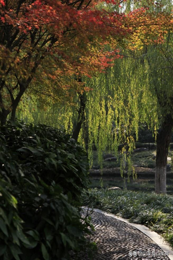 芜湖旅游攻略教堂,芜湖鸠兹风景区