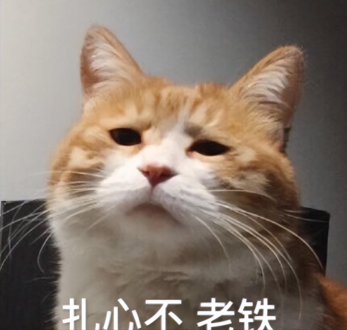 600元打水漂,600多块钱打水漂