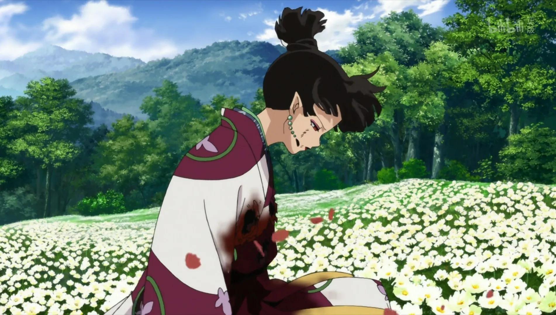 看犬夜叉,犬夜叉第二季有生之年