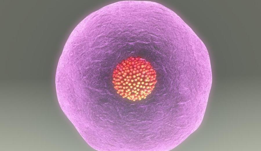 捐精一次补助5000元左右，具体流程咋样？有多少人能赚到这个钱？