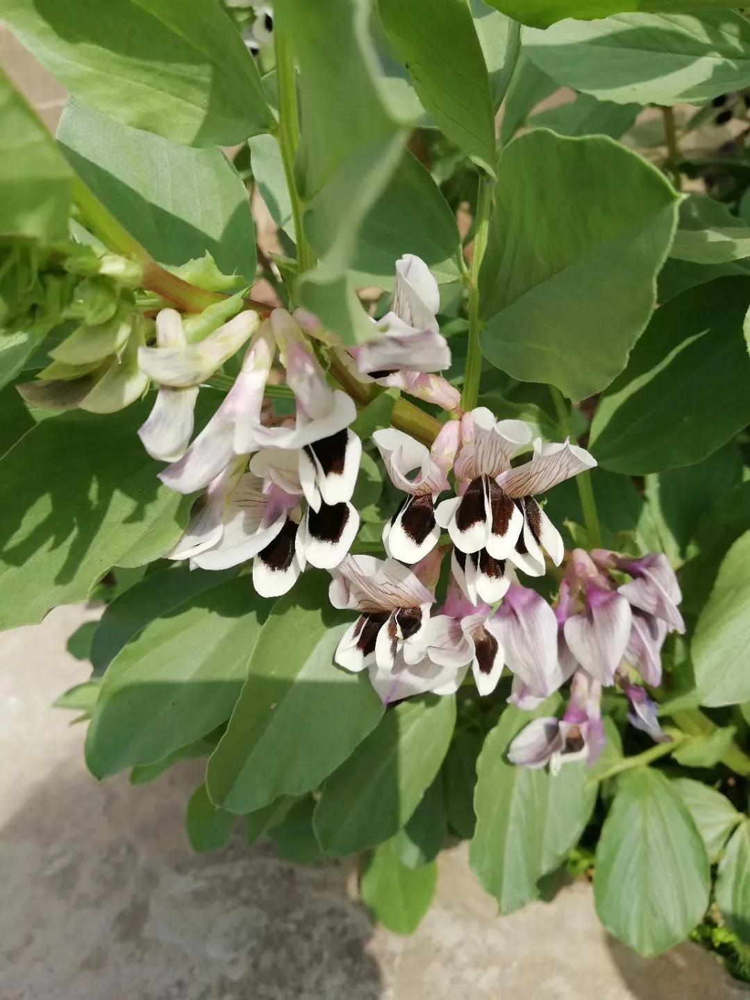 宜君记散文,宜君编年史