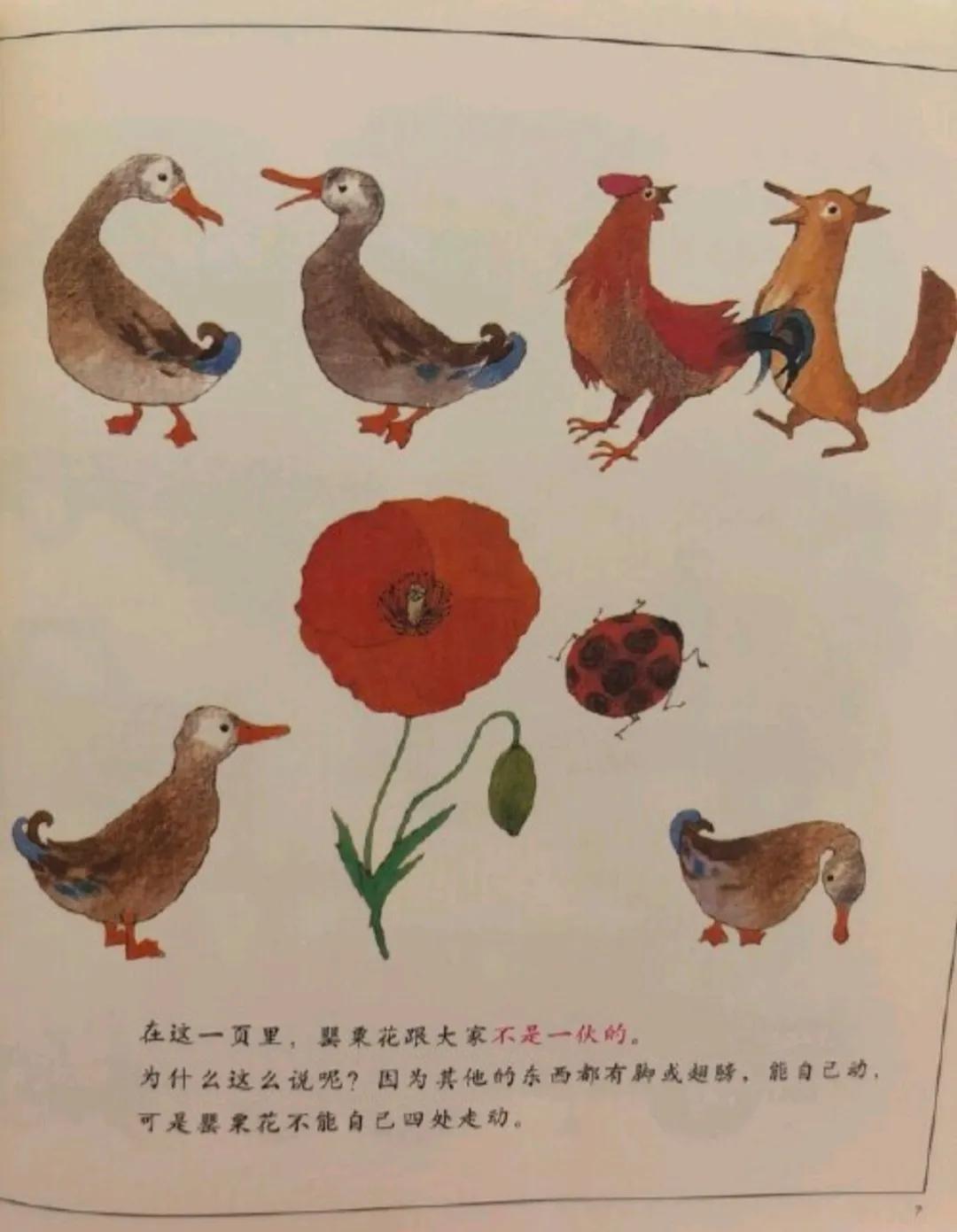 数学启蒙绘本酷炫100天,数学原来可以这样学的绘本