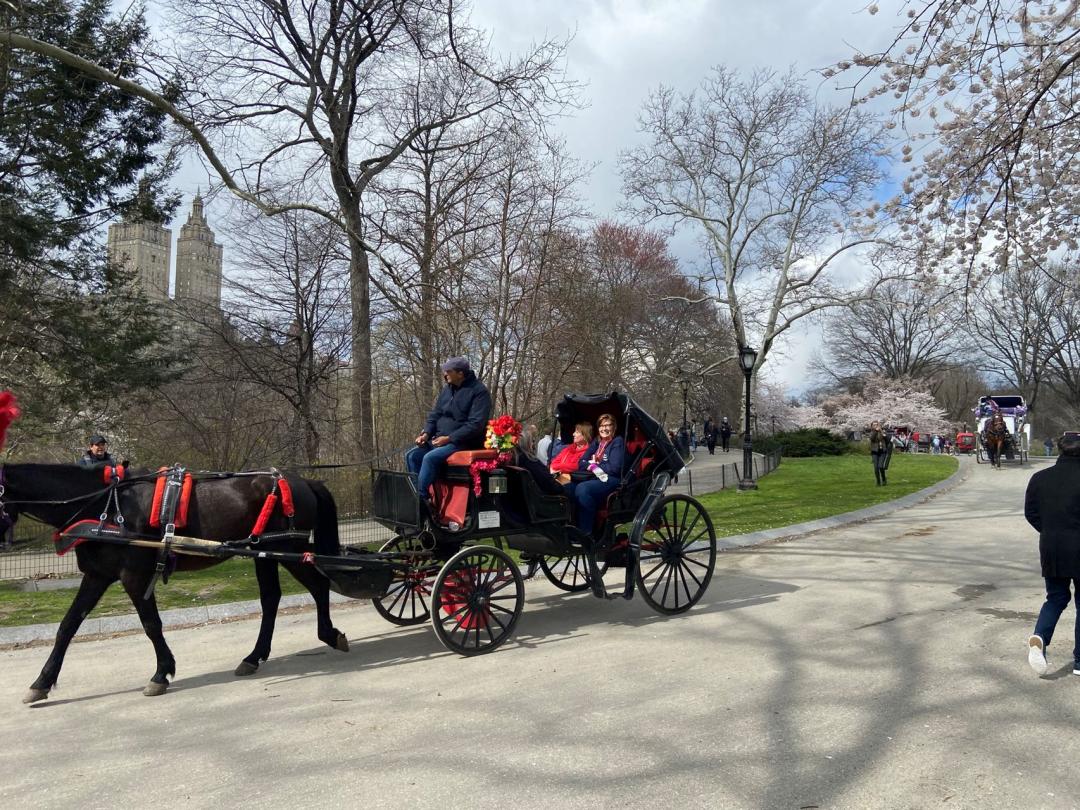 看他分享在纽约大学读计算机的体验，慕了！