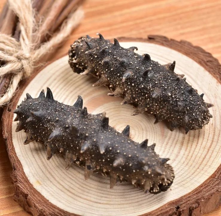 海参营养误区,怎么做活海参有营养又简单