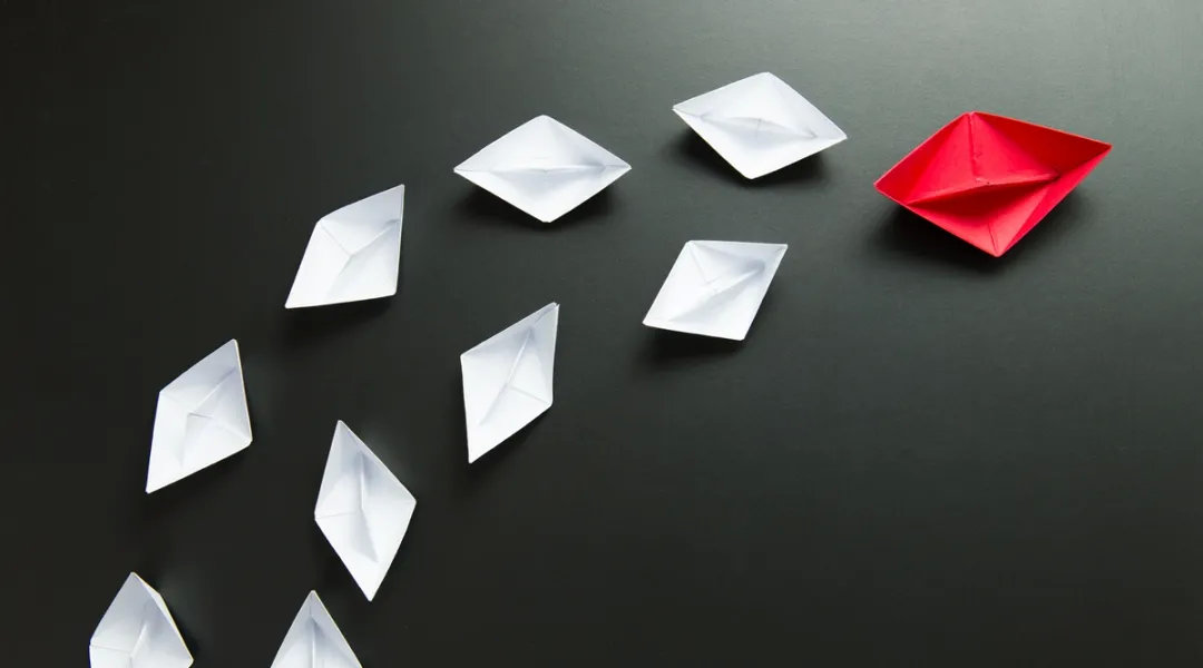 宫玉振：新手重打仗，老手看组织