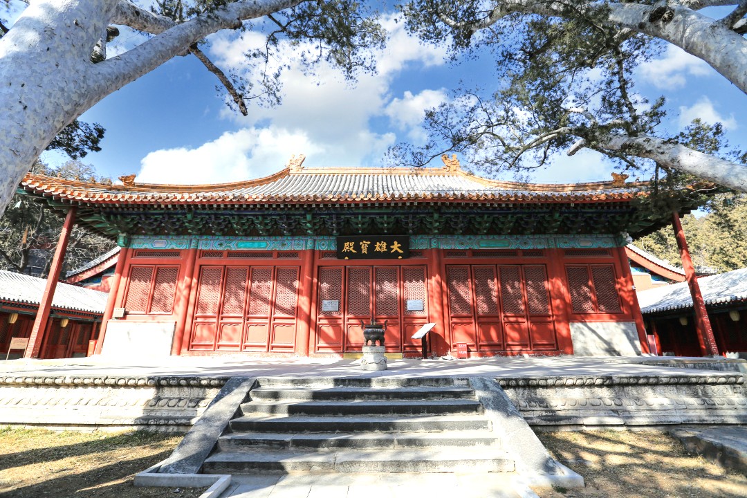 太监晚年的样子,太监晚年要做什么