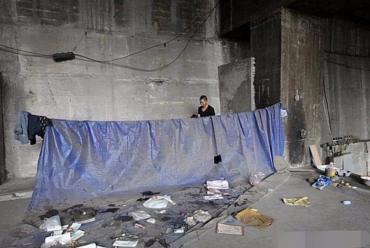 小伙卖彩票一年挣80亿,拾荒男子桥洞研究彩票完整视频