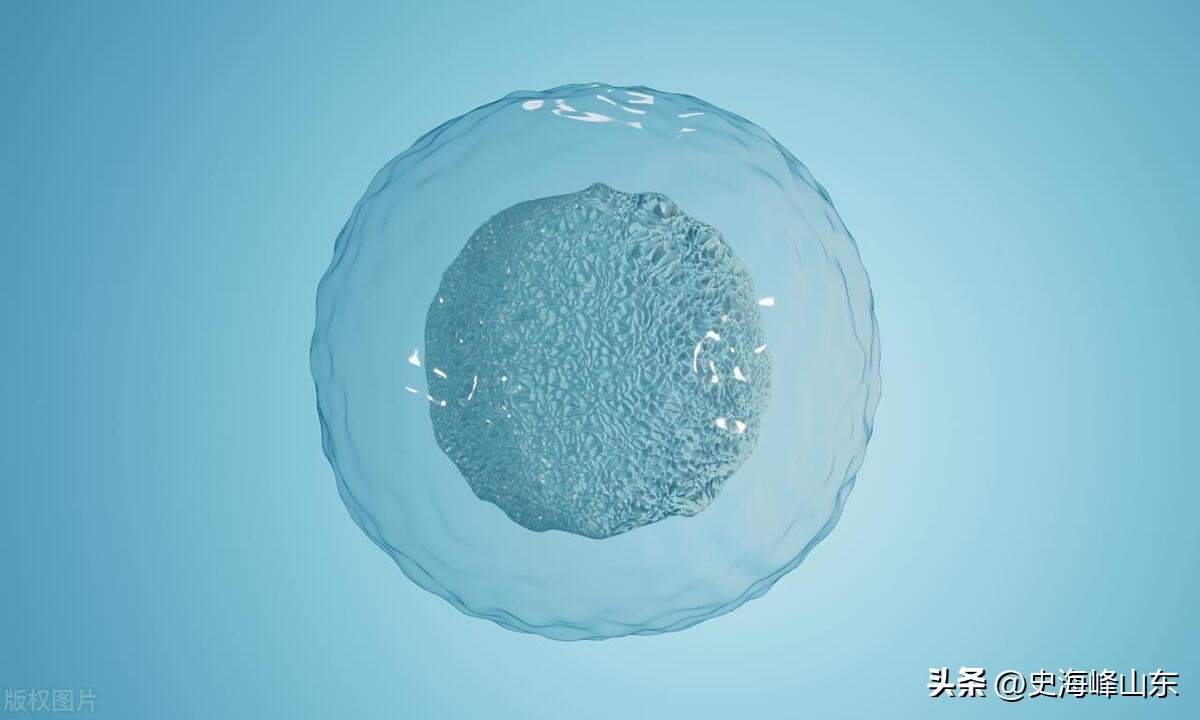 ipo行业类别怎么划分,ipo各板块定位