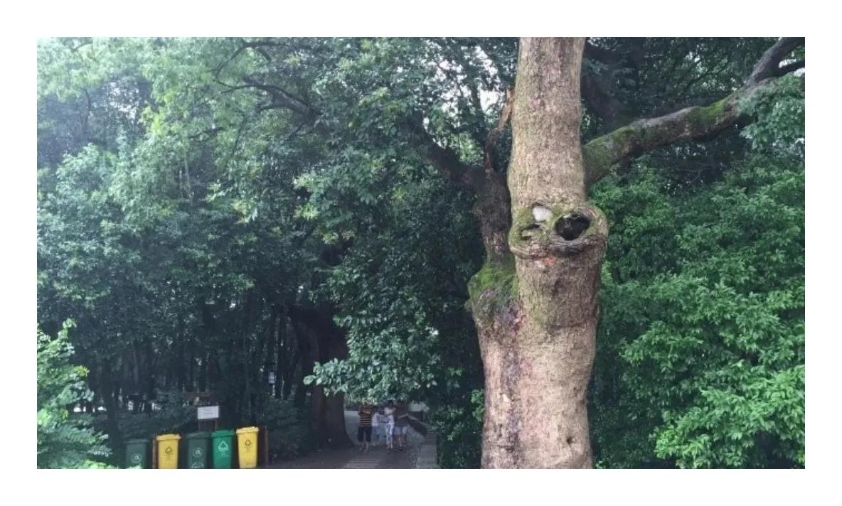 浙江美丽乡村旅游视频,浙江考察美丽乡村建设纪实