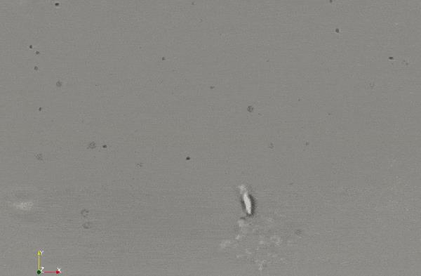 精子的运动能量,精子活动力半数呈直线运动