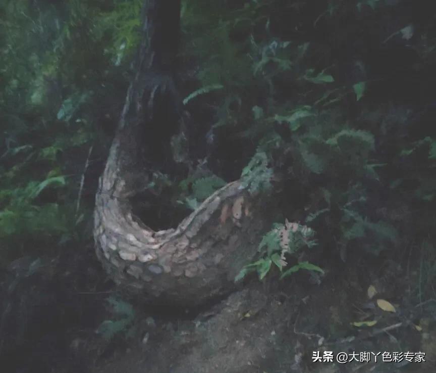 三刷最后结局是什么,三刷广州