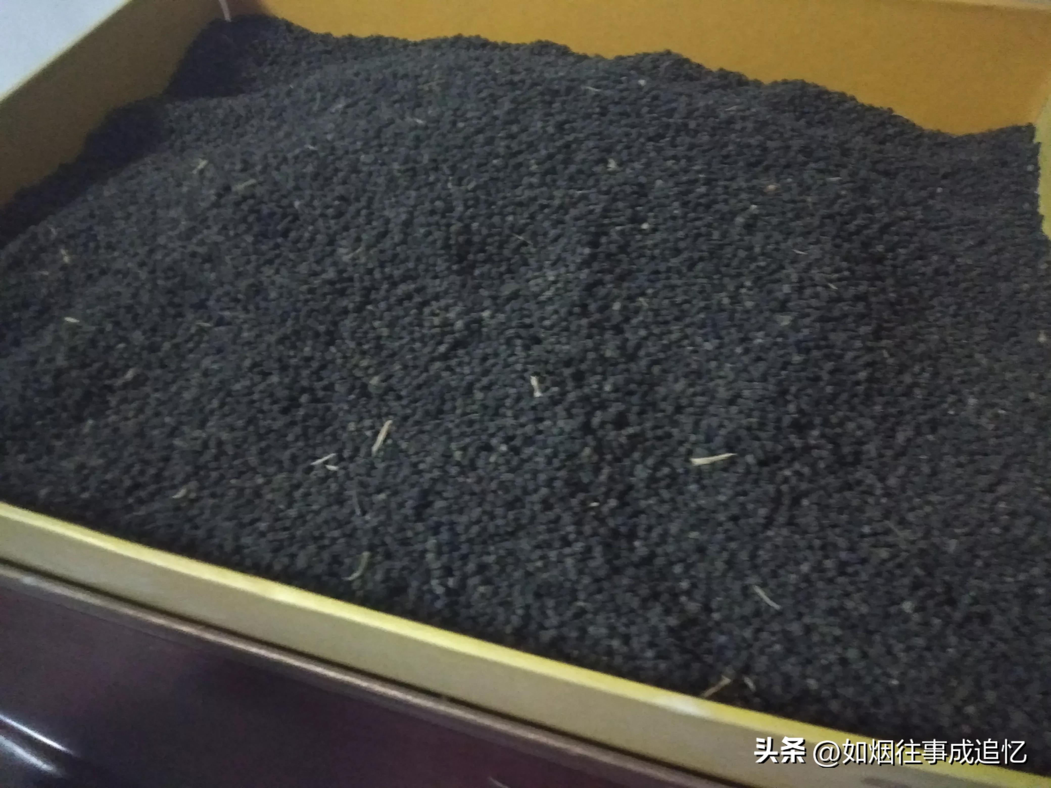 蚕沙做枕头可以用几年,蚕沙做枕头只需晒干就可以吗