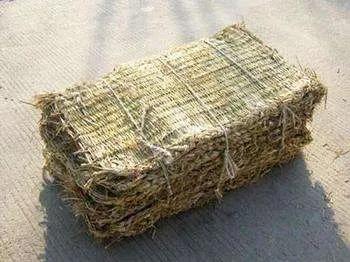 辽宁农村有谁还记得“打草袋子”这个活儿？