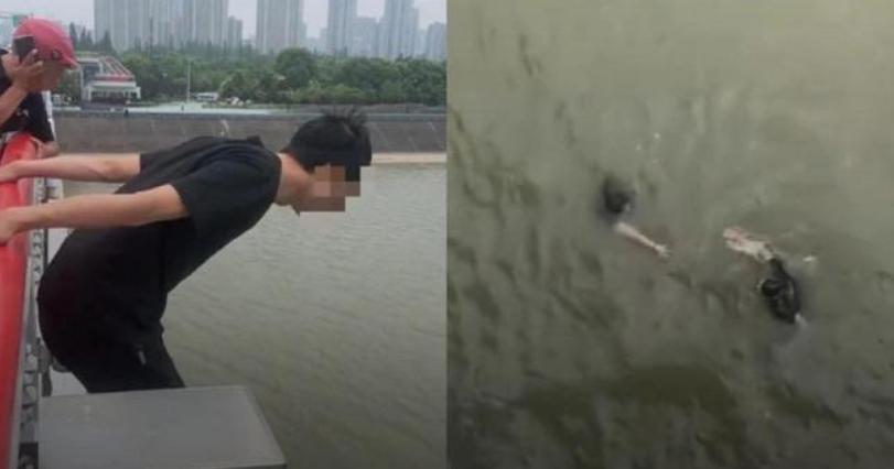 顺丰同城骑手解锁技能,骑手送外卖小技巧有哪些