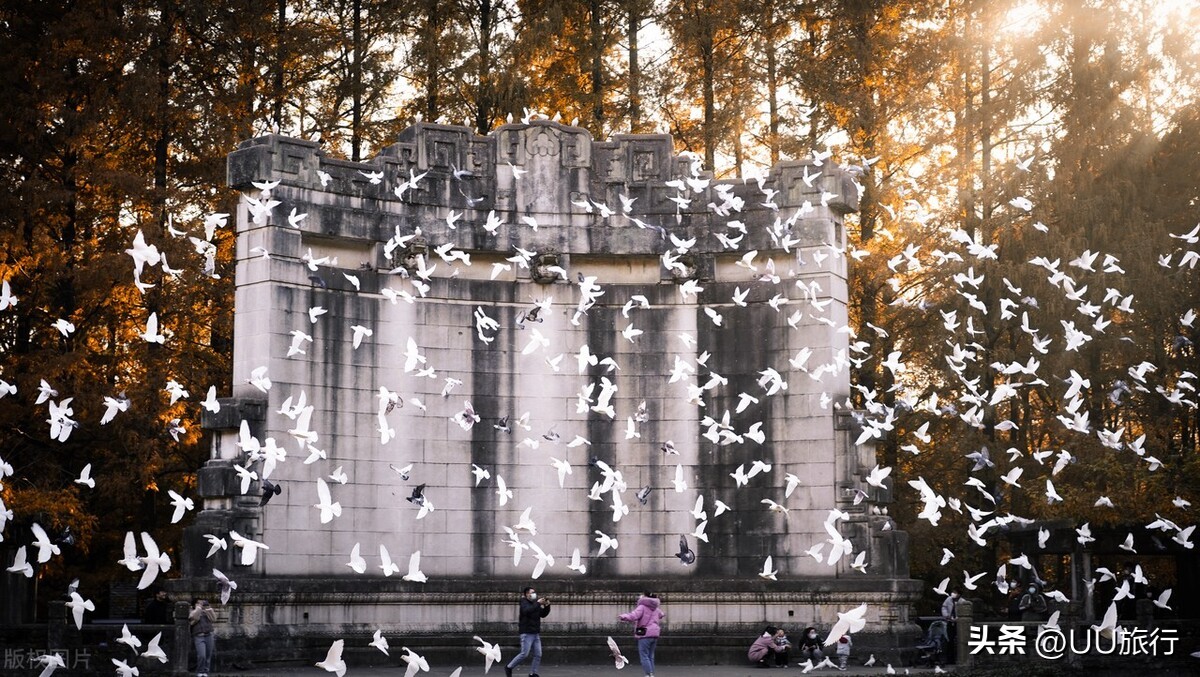 南京最值得去的几个地方推荐,2022春节南京最值得玩的地方