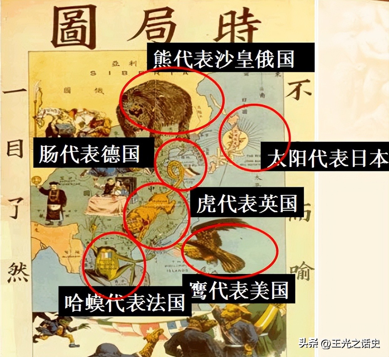 李嘉欣是汉族还是葡萄牙人,李嘉欣为什么是葡萄牙国籍