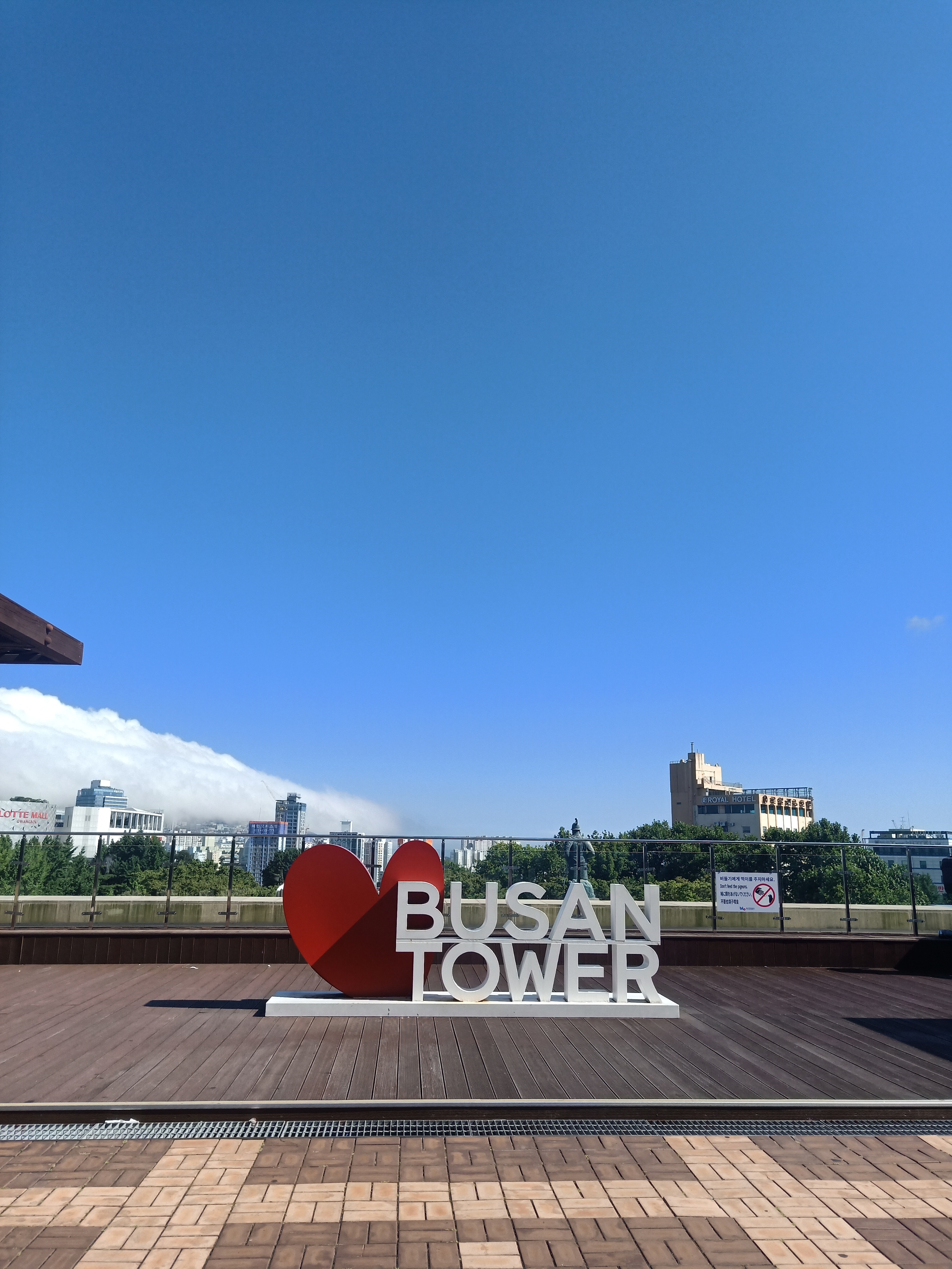 90后江江在韩国：海浪跫音，路在自己脚下