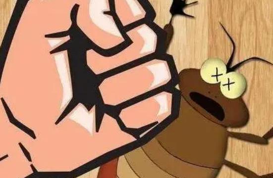 酒精能杀死蟑螂,酒精可以杀蟑螂吗为什么