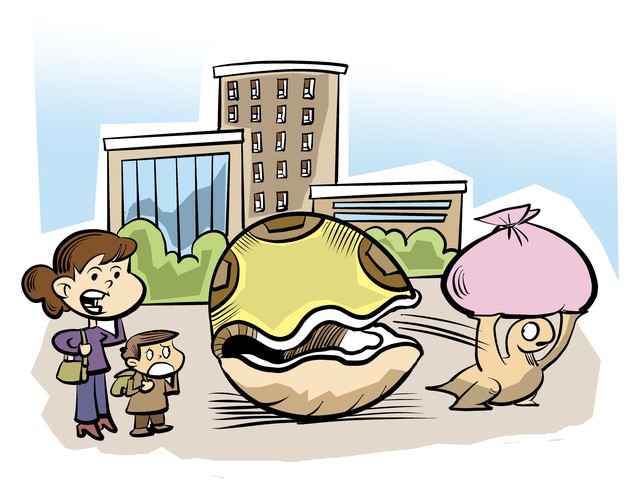 培训贷”陷阱：为何盯上大学生，警惕陷入债务漩涡