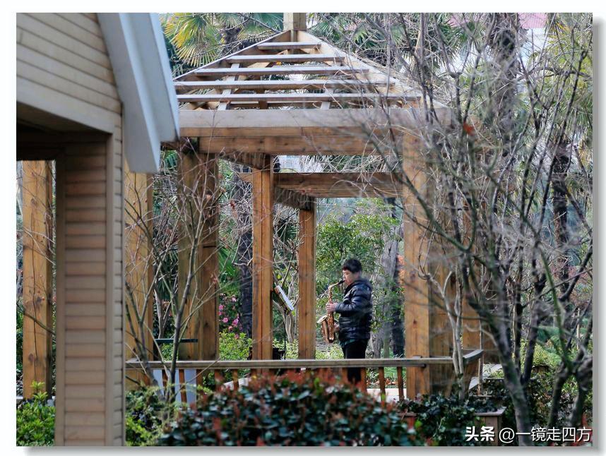 上海长风海洋公园和自然博物馆,上海长风公园占地面积