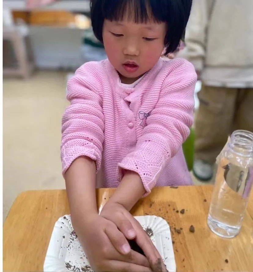 科学探索幼儿园小实验,建德诺亚舟幼儿园