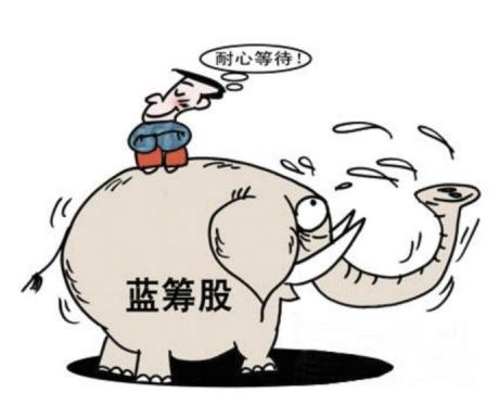 百科什么类型,权重股与白马股及蓝筹股