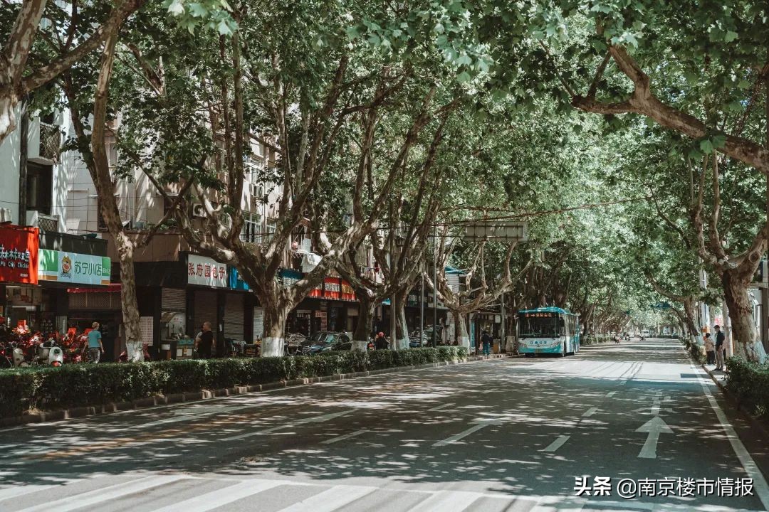 栖霞建设朝天宫项目开盘时间,栖霞建设朝天宫项目价格