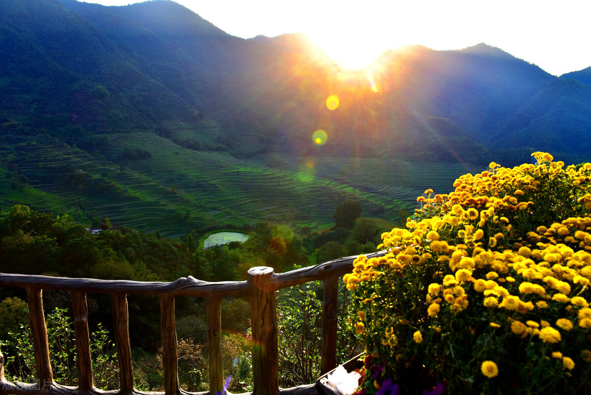 十首“山居杂诗”，山居，讲究回归我大自然，是现代人的梦中桃源