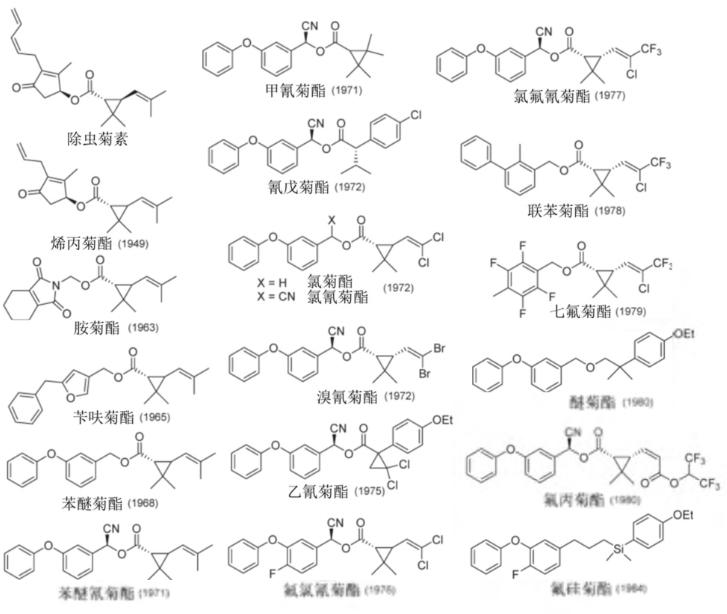 蚊子太烦人了晚上睡不着,总被蚊子吵醒还找不到蚊子是为啥