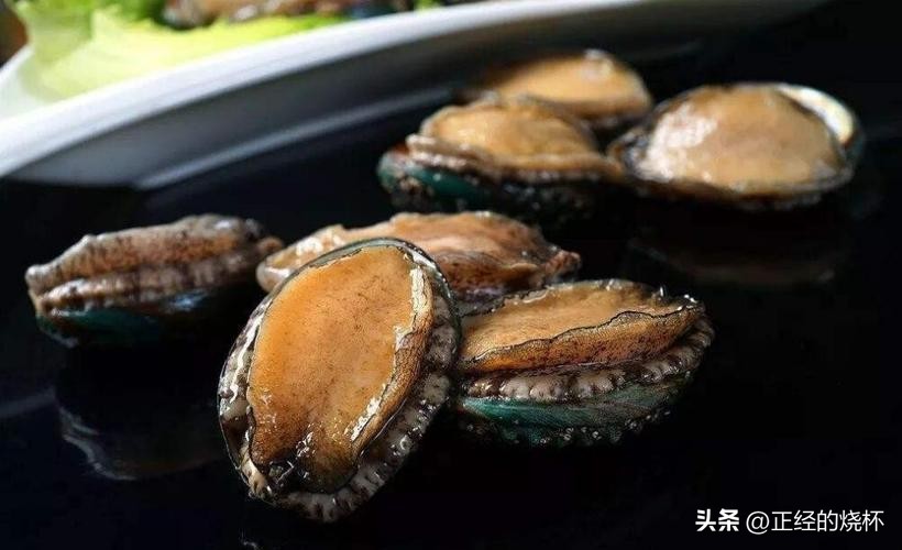 鲍鱼分布在哪里,鲍鱼由哪些部分组成的