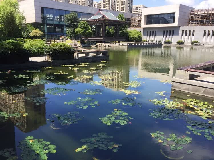 传承宁波帮精神,宁波帮博物馆值得去吗