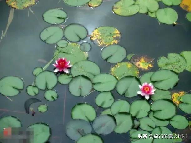 上海自驾西山旅游攻略,苏州东山一日游自驾游最佳路线图