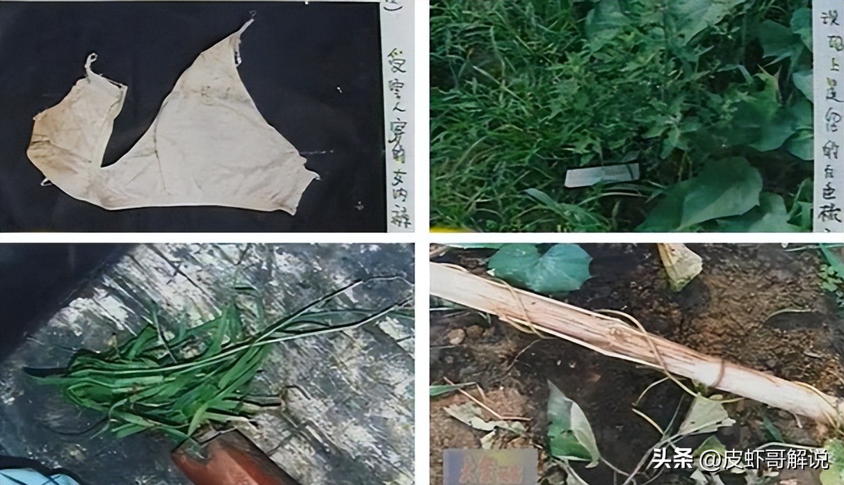 花季少女惨死油菜地,妙龄少女惨死广场灌木丛警方调查