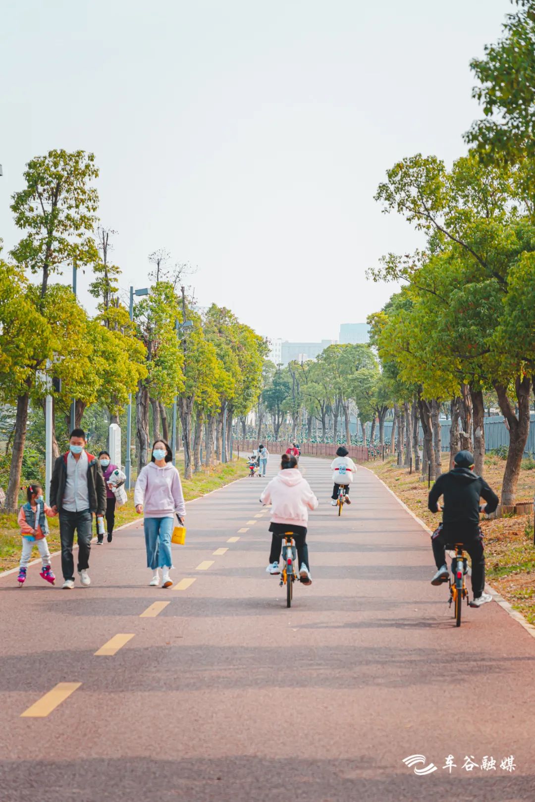 最美绿道骑行攻略,淘金山骑行绿道和东湖骑行绿道