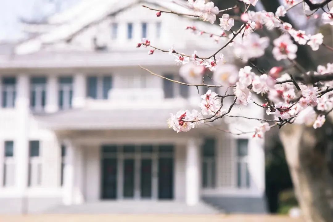 阔别1136天，你需要这份攻略～