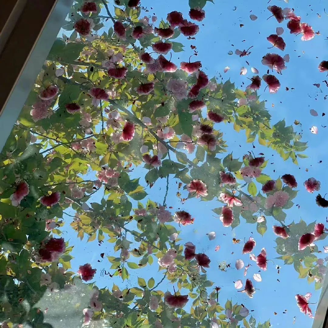 朋友圈背景图片文字,朋友圈背景图女生