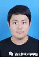 玫红色的樱花品种,100多种樱花新品种