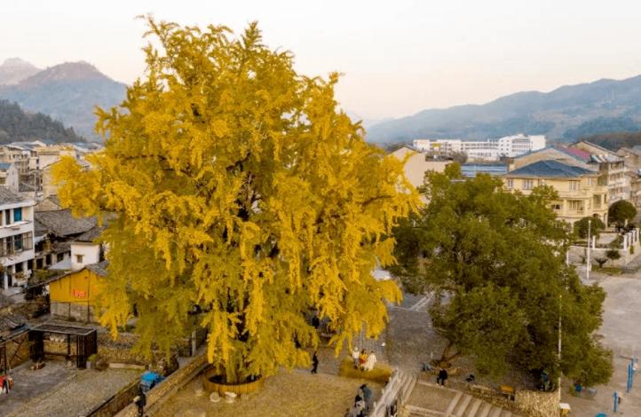 苏州虎丘区浒关镇华侨村,华侨新村荒废别墅