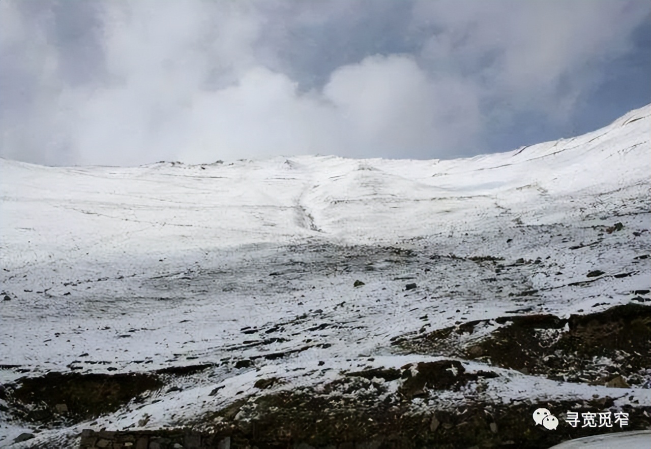 百丈关战役后续,百丈关战役失败的原因