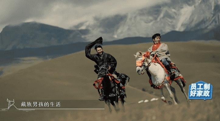 锋菲20年前,锋菲重逢