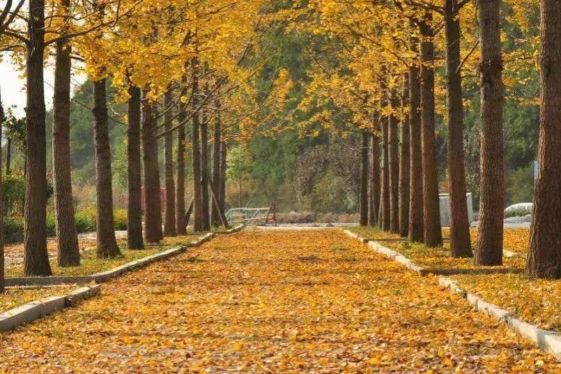 人要懂得知足不能眼高手低,人一定要脚踏实地切忌好高骛远