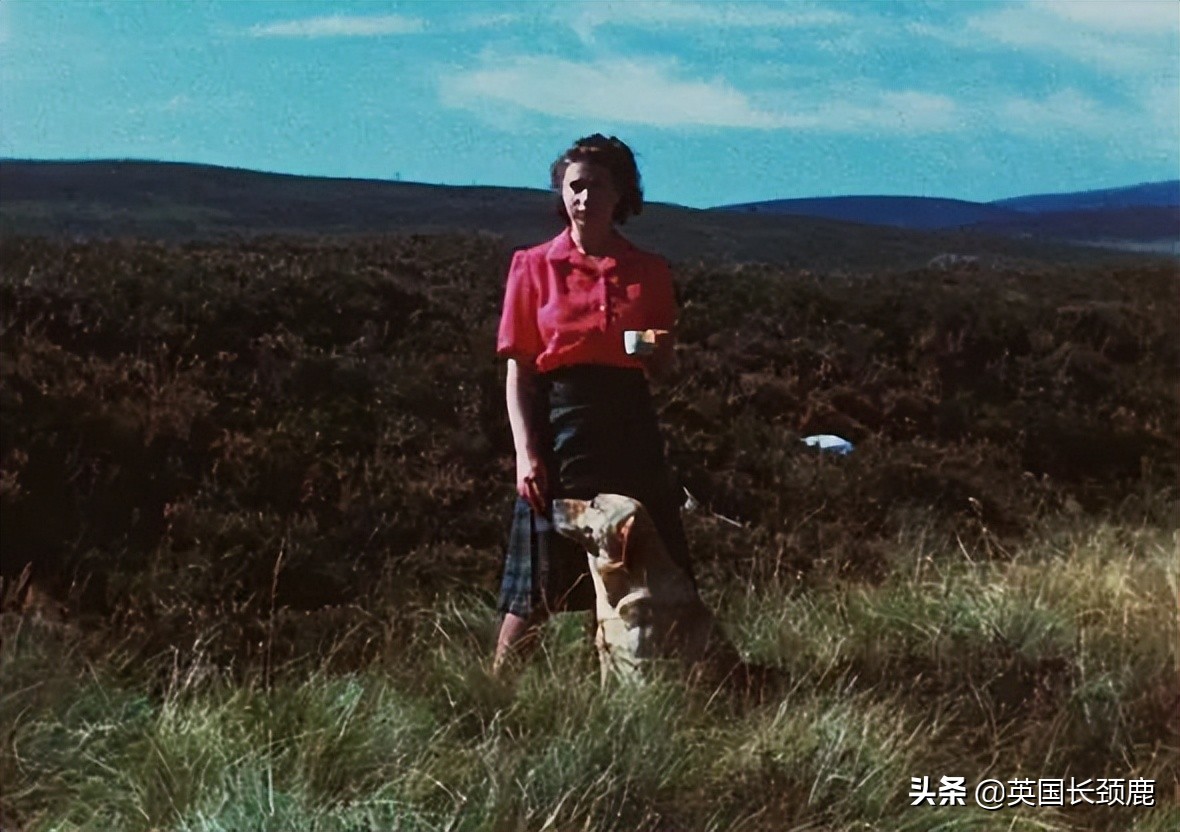 女王伊丽莎白珍贵影像,英国女王珍贵影像