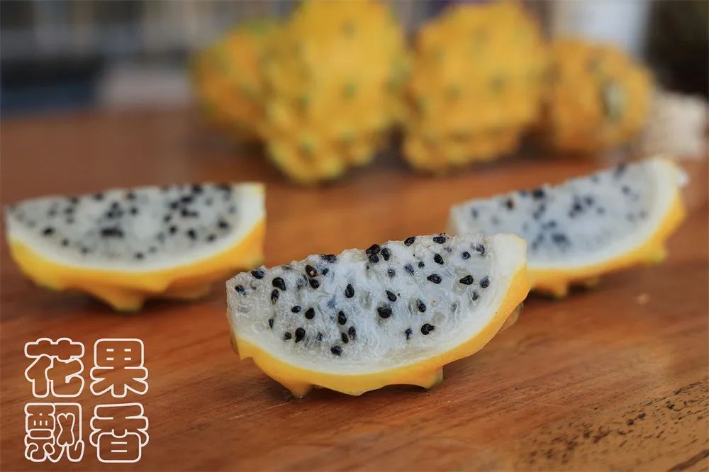 冬季好卖的水果有哪些,比较容易卖的水果有哪些