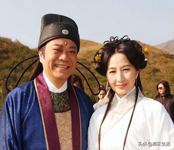 何家劲版中华英雄1-42集电视剧,何家劲版中华英雄续集