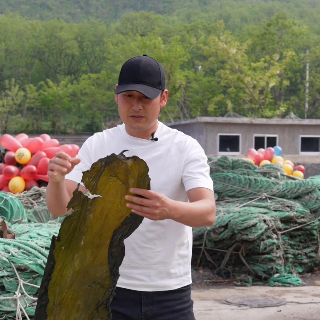 海带收购后多久才能卖,海带收回来要怎么处理